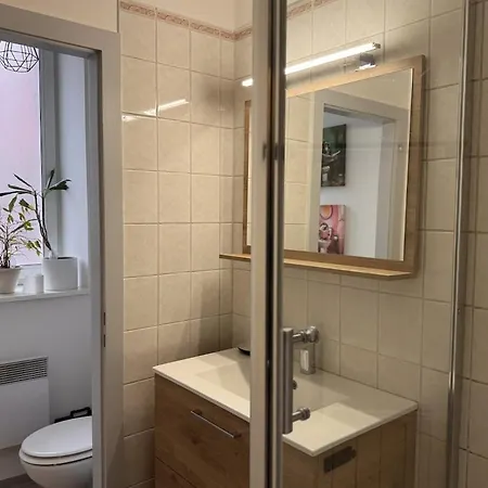 Appartement Le Nid D'alspach - Cocon Romantique A Colmar