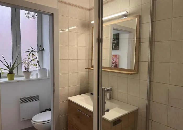 Appartement Le Nid D'alspach - Cocon Romantique A Colmar